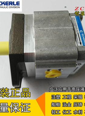 ECKERLE液压泵890-EI-1000-RS2-C502/C503 890-EI-0500-R-N01491