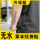 无水草本纹身贴心安理得做个平常人藏文手臂防真免水刺青纹身贴纸