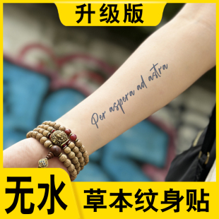 无水草本纹身贴穿越逆境抵达繁星仿真防水持久果汁刺青免水贴纸