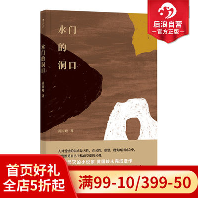 后浪正版现货 水门的洞口 台湾文学华语文学黄国峻长篇小说书籍