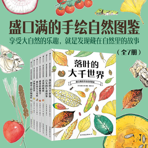 浪花朵朵盛口满的手绘系列8册