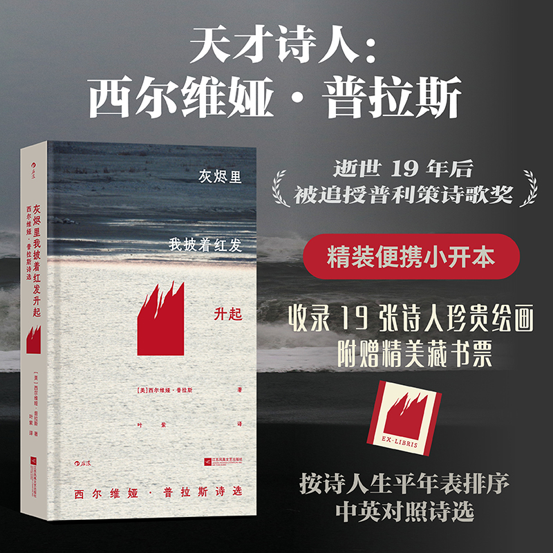 灰烬里我披着红发升起