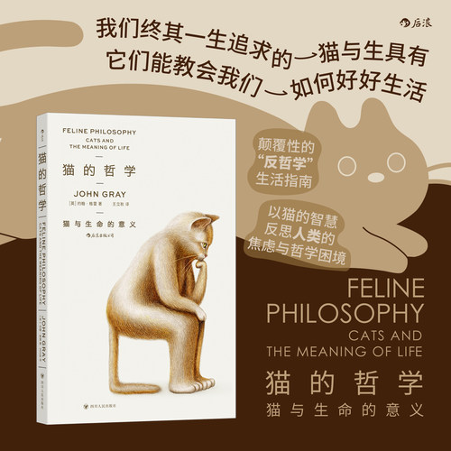 猫的哲学精神内耗反哲学后浪