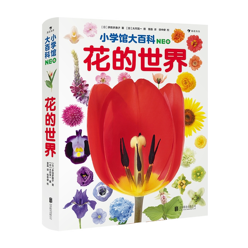 浪花朵朵现货 小学馆大百科 花的世界  7-10岁儿童科普百科自然图鉴植物画册百科类书籍 后浪童书