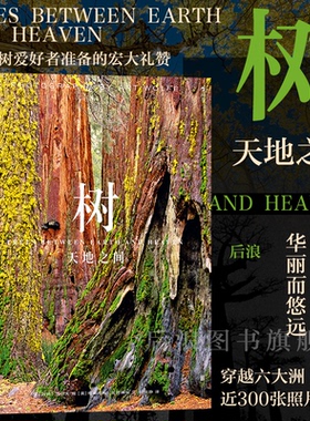 后浪正版现货 树 天地之间 传奇摄影师阿特沃尔夫 近300张照片呈现树之星球 自然风光摄影艺术收藏画册