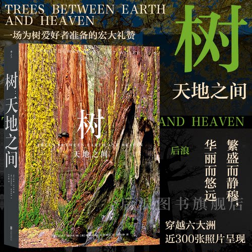 后浪艺术树天地之间自然画册