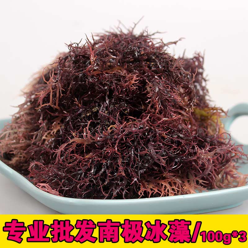 新鲜冰藻干货凉拌菜 250克海草龙须菜 南极冰藻海藻笋石花菜包邮 水产肉类/新鲜蔬果/熟食 海带 原图主图