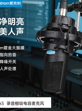 Alctron/爱克创 beta5大振膜电脑电容录音话筒台式K歌主播麦克风