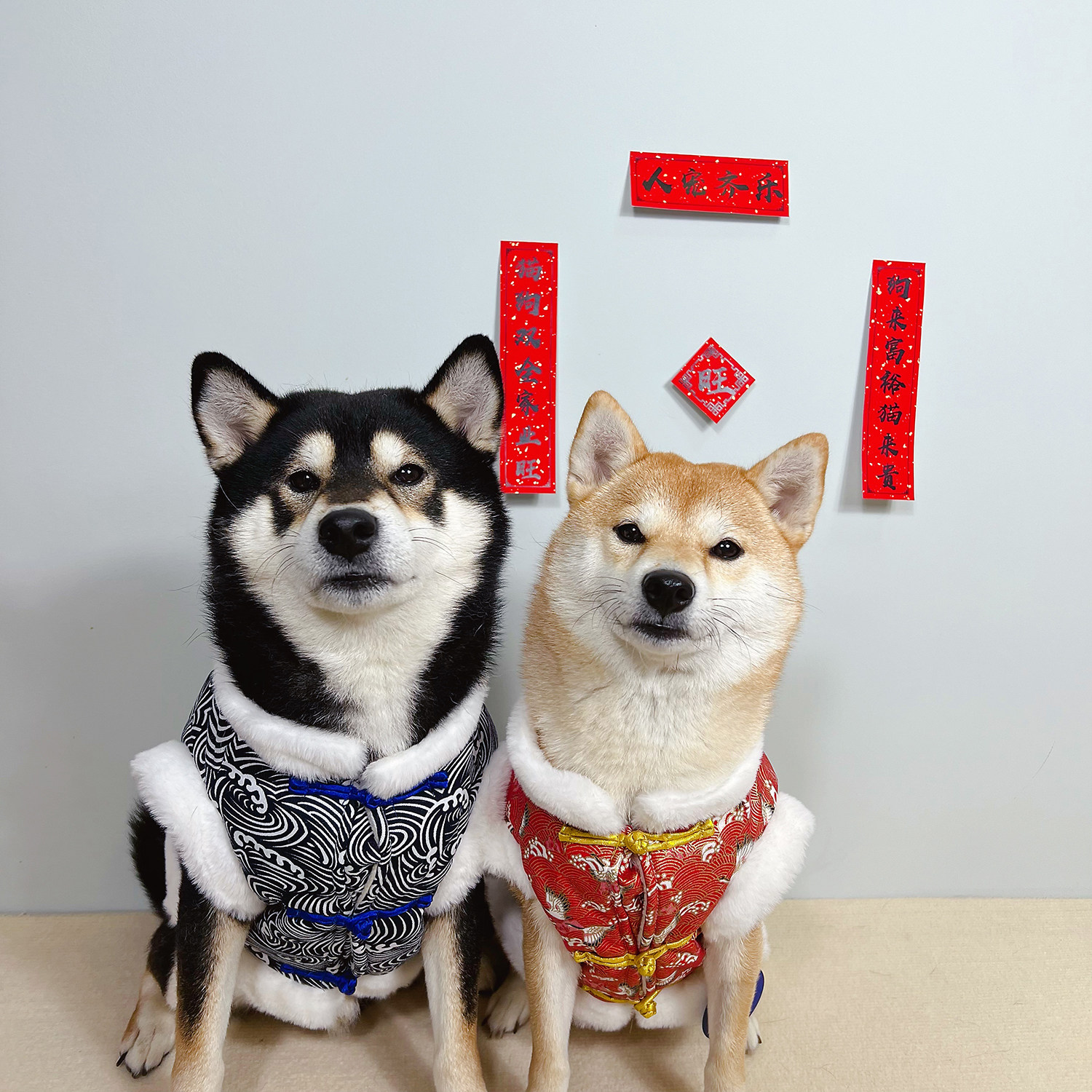 DDPET狗狗猫咪拜年衣服新年喜庆保暖夹棉唐装马甲柴犬宠物拜年服