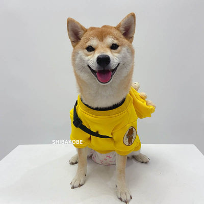 柴犬狗狗狗狗衣服秋冬装新款黄