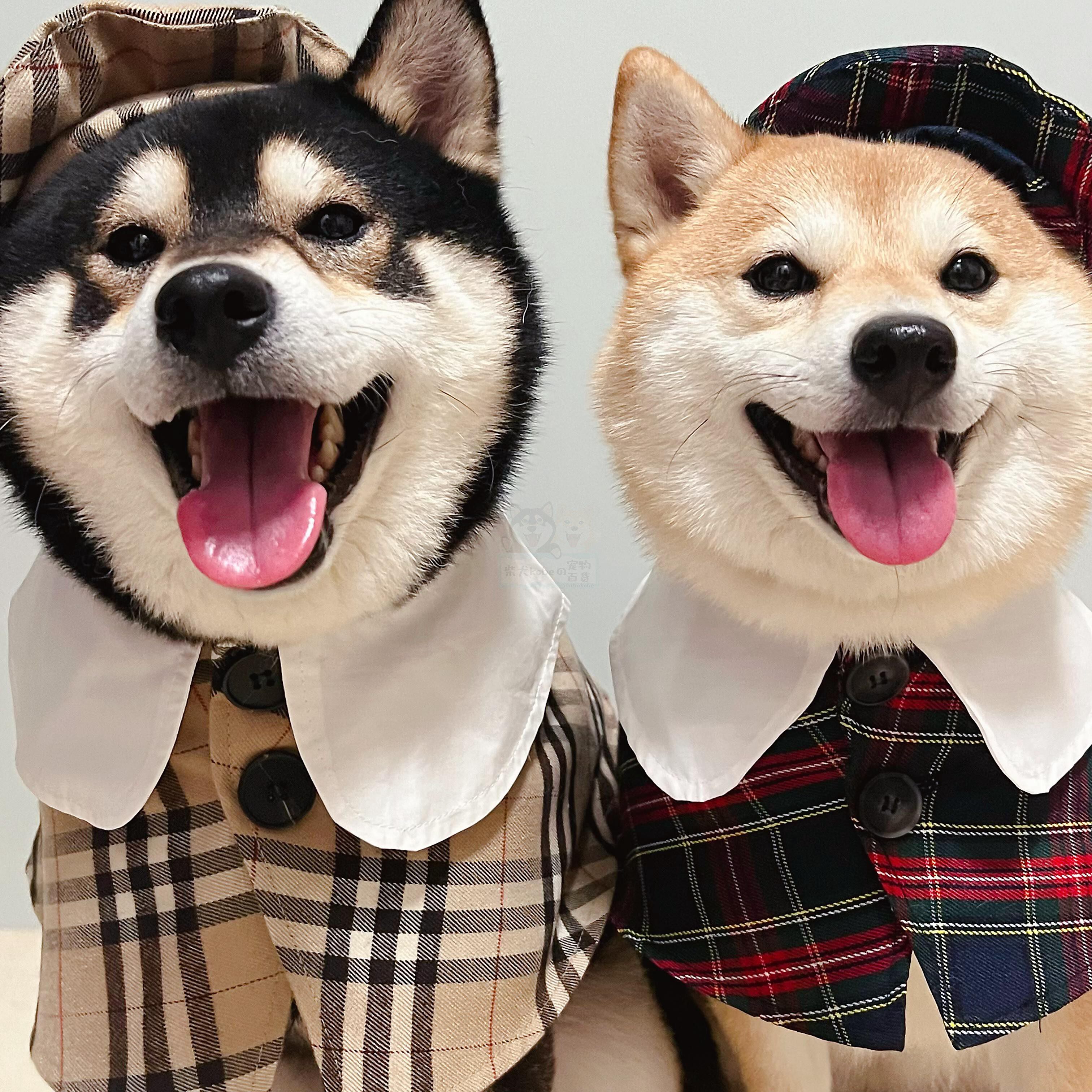 TawneyBear狗狗衣服秋装英伦可爱斗篷帽子泰迪雪纳瑞博美柯基新年
