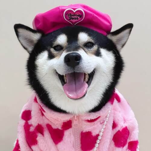 秋冬狗狗衣服芭比爱心柴犬比熊