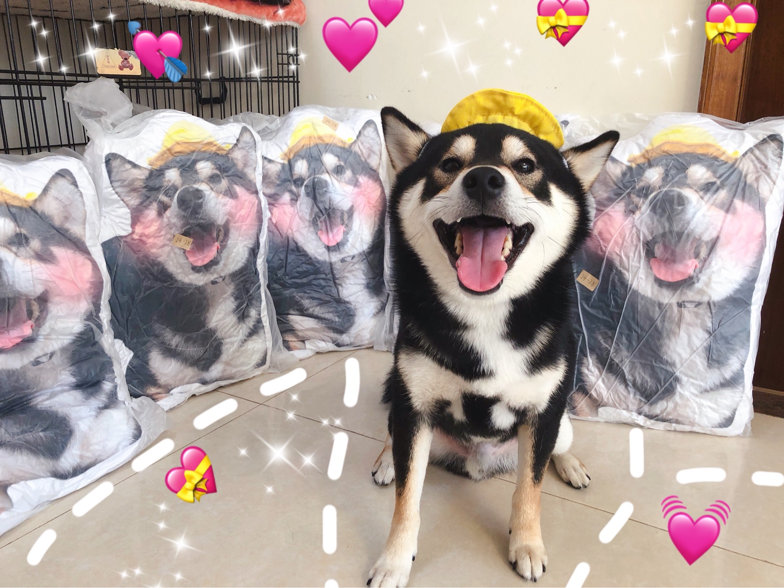 柴犬kobe李超标周边| 古早系列的第一个周边抱枕