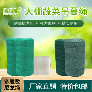 大棚吊秧绳农用番茄西红柿黄瓜吊绳尼龙绳聚乙烯塑料绳蔬菜吊蔓绳