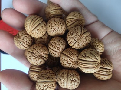 磨盘桃核桃核多买多送