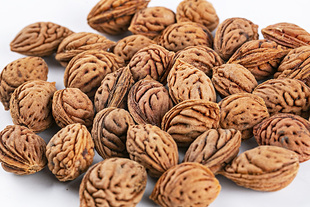 新采毛桃核原籽  野生毛桃枭 嫁接桃核 桃树核 雕刻用桃胡 育苗核