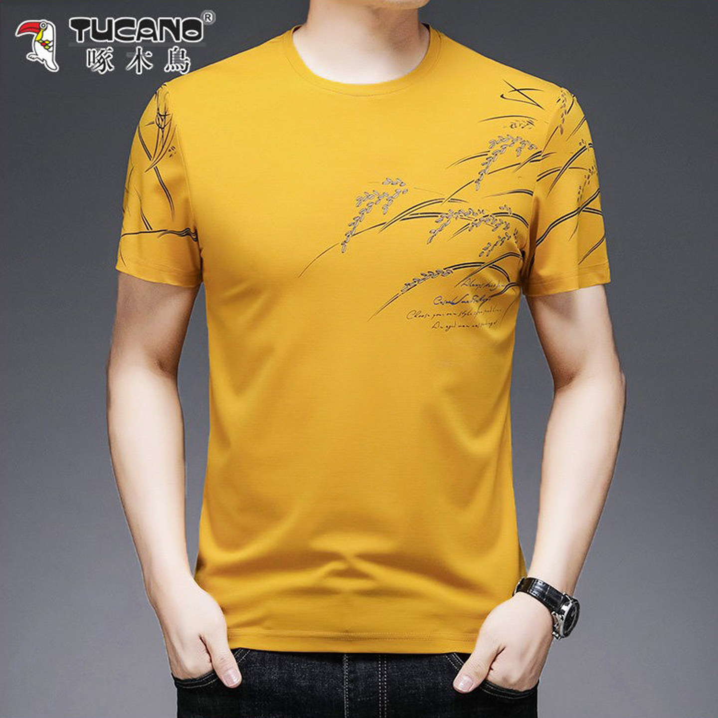 啄木鸟丝光棉短袖T恤男纯棉T恤韩版潮流体恤衫夏季新款半袖圆领