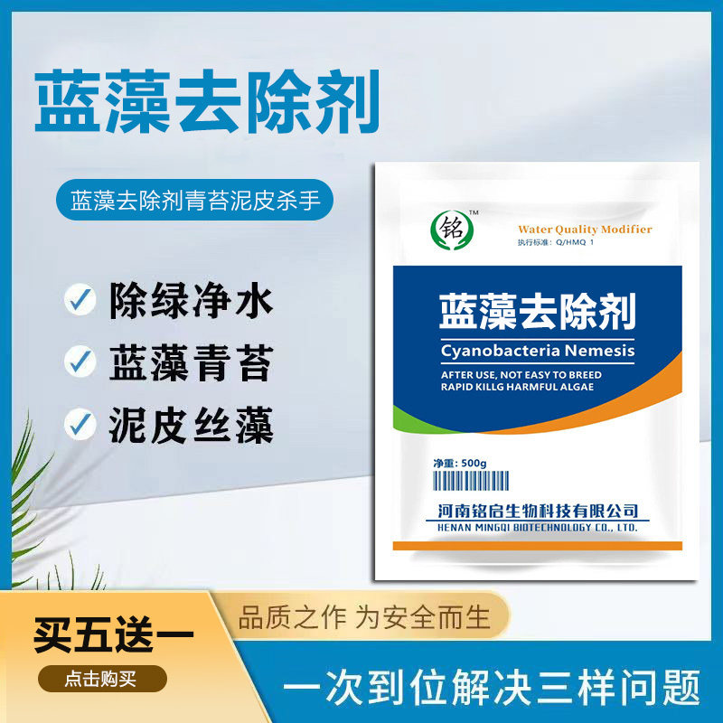 鱼塘蓝藻水库灭蓝藻净水青苔去除