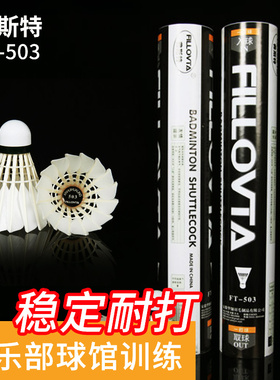 正品无为弗斯特FT503耐打稳定羽毛球水鸭驼背俱乐部中级练习球12