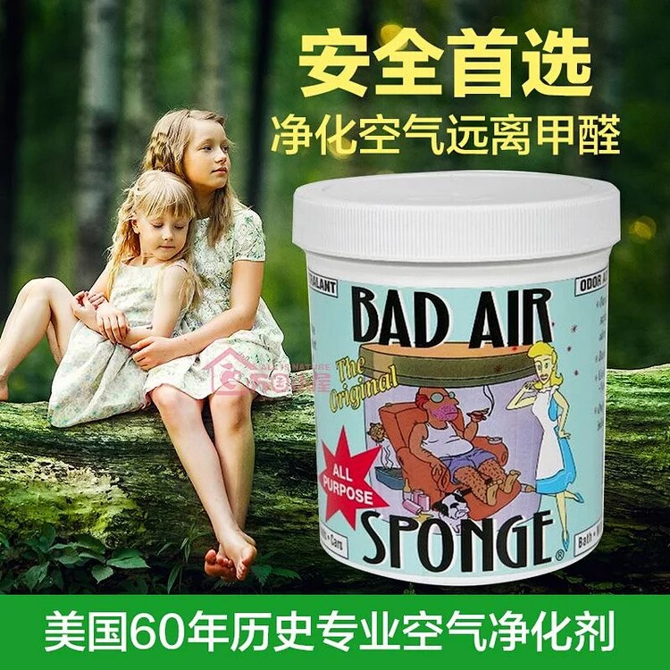 Bad Air Sponge空气净化剂白宫御用甲醛清除剂装修雾霾|ruв категории туалетные чище/санитарно - гигиенических салфеток/бумага/Ароматерапия, крытый дезодорант/ароматические товаров, формальдегид мусорщик/формальдегид тест, формальдегид мусорщик - от Buy2taobao.com для оказания профессиональной услуги покупки агента Taobao