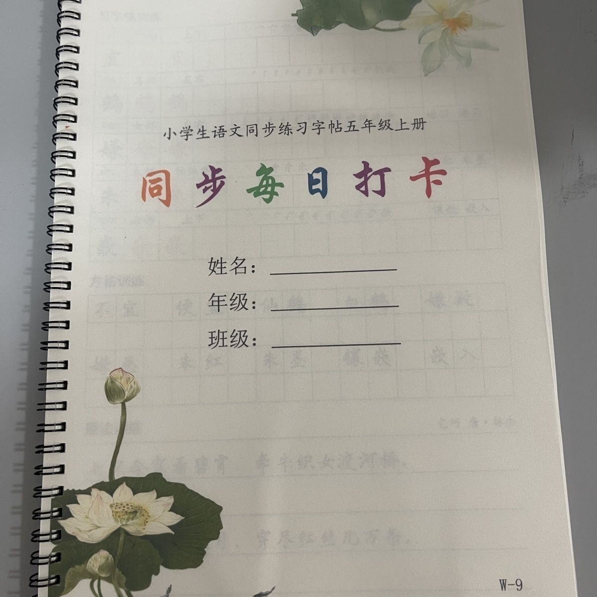 新版小学一二三四五六年级上下册同步生字组词横线硬笔书法练字帖