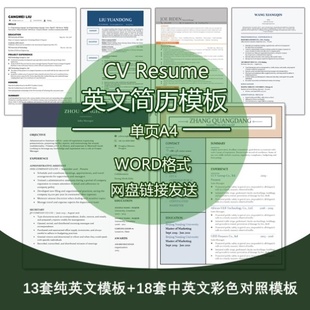 欧美彩色风格留学生外企求职CV中英文对照双语resume单页简历模板