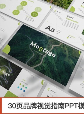 绿色品牌vi设计视觉指南ppt模板企业介绍简约清新排版ppt模板素材