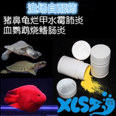 黄头 渔场猪鼻龟药 水龟专用 肺炎 剃刀水龟 腐皮烂甲
