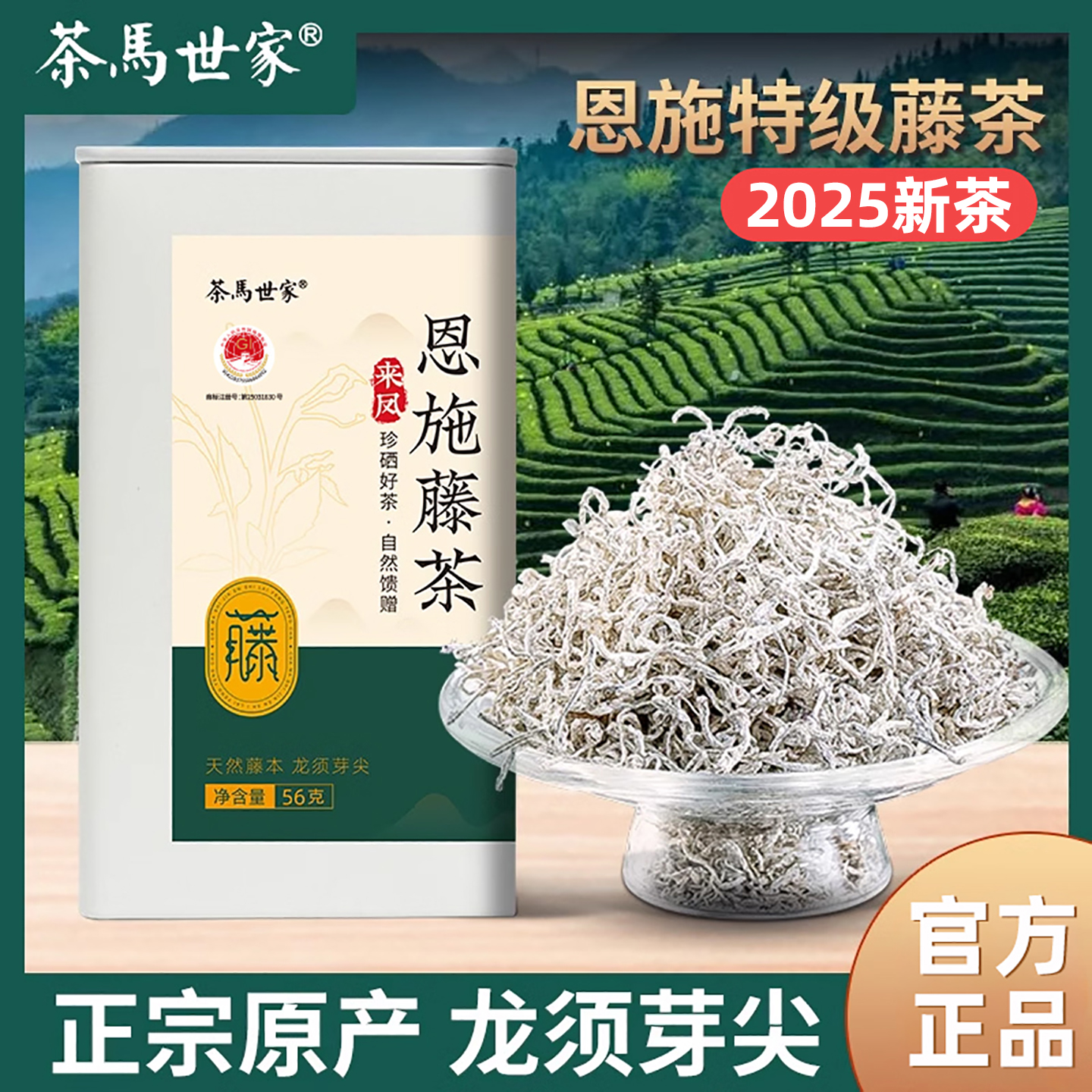 恩施特级藤茶龙须芽尖富含黄酮