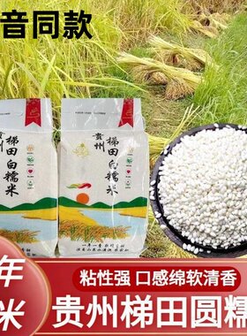 贵州梯田圆糯米白糯米农家打糍粑糯米香甜包粽子软新米糯江米10斤