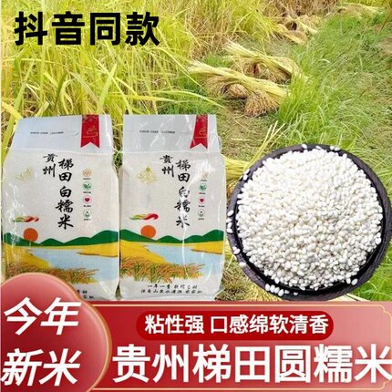 贵州梯田圆糯米白糯米农家打糍粑糯米香甜包粽子软新米糯江米10斤
