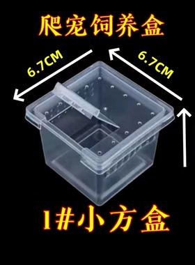 爬虫饲养盒蜘蛛守宫蜥蜴蚕宝宝蟋蟀蚂蚁蛙蝎子透明带盖养殖盒现货