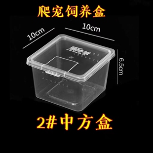 爬虫饲养盒蜘蛛守宫蜥蜴蚕宝宝蟋蟀蚂蚁蛙蝎子透明带盖养殖盒现货