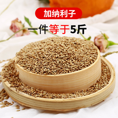 包邮进口加纳利子鹦鹉金丝雀饲料