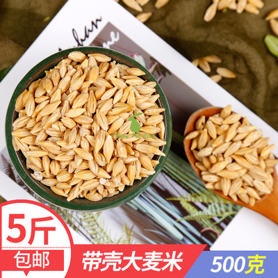 5斤包邮鸟食带壳500G饲料