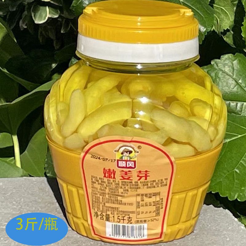 桐乡特产顺风嫩姜芽泡菜酱菜腌制咸菜即食小菜食堂酒店糖醋姜芽,水产肉类/新鲜蔬果/熟食,腌制/榨菜/泡菜,淘宝优惠券,粉丝福利购,淘宝优惠卷