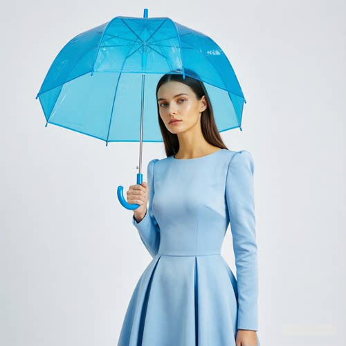 英国女王鸟笼透明雨伞Totes绯闻女孩同款蘑菇拱原版直柄伞