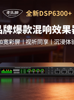 麦乐迪DSP6300+专业音响