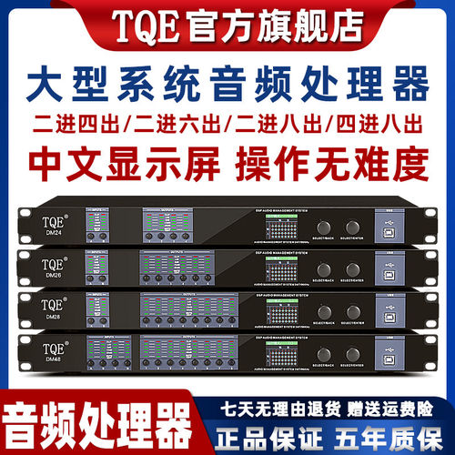 TQE/DM48专业中文数字音