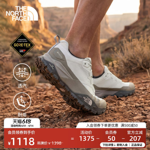 北面男GTX防水低帮徒步鞋