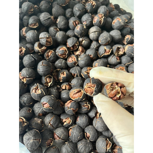 临安特产山核桃 2025年新货 特好剥黑珍珠野生水煮原味小核桃包邮