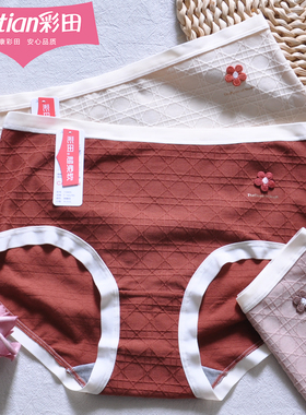 三条装彩田中腰立体提花棉莫格纹高级女士内裤15805大弹力10A抑菌