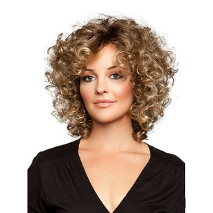 Synthetic Short Wig外贸热销爆炸头假发 Hair Brown Curly Wigs