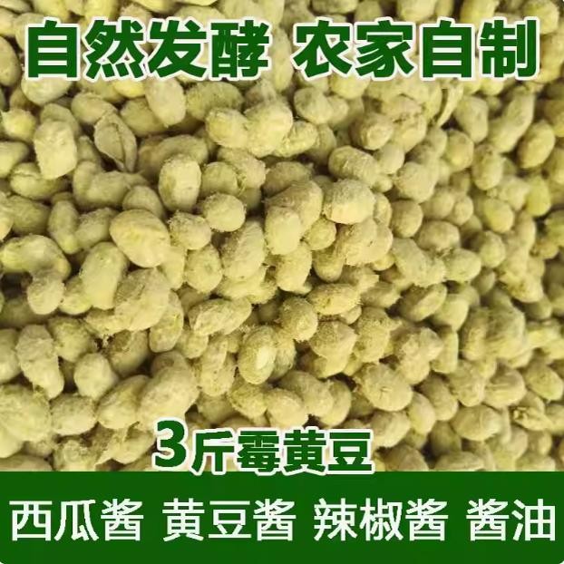 河南商丘新捂黄豆霉黄豆炒熟发酵小黄豆做酱黄豆西瓜酱辣椒酱酱油