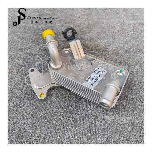 全新汽车变速箱油冷却器09G409061G 09G409061G甲虫兔