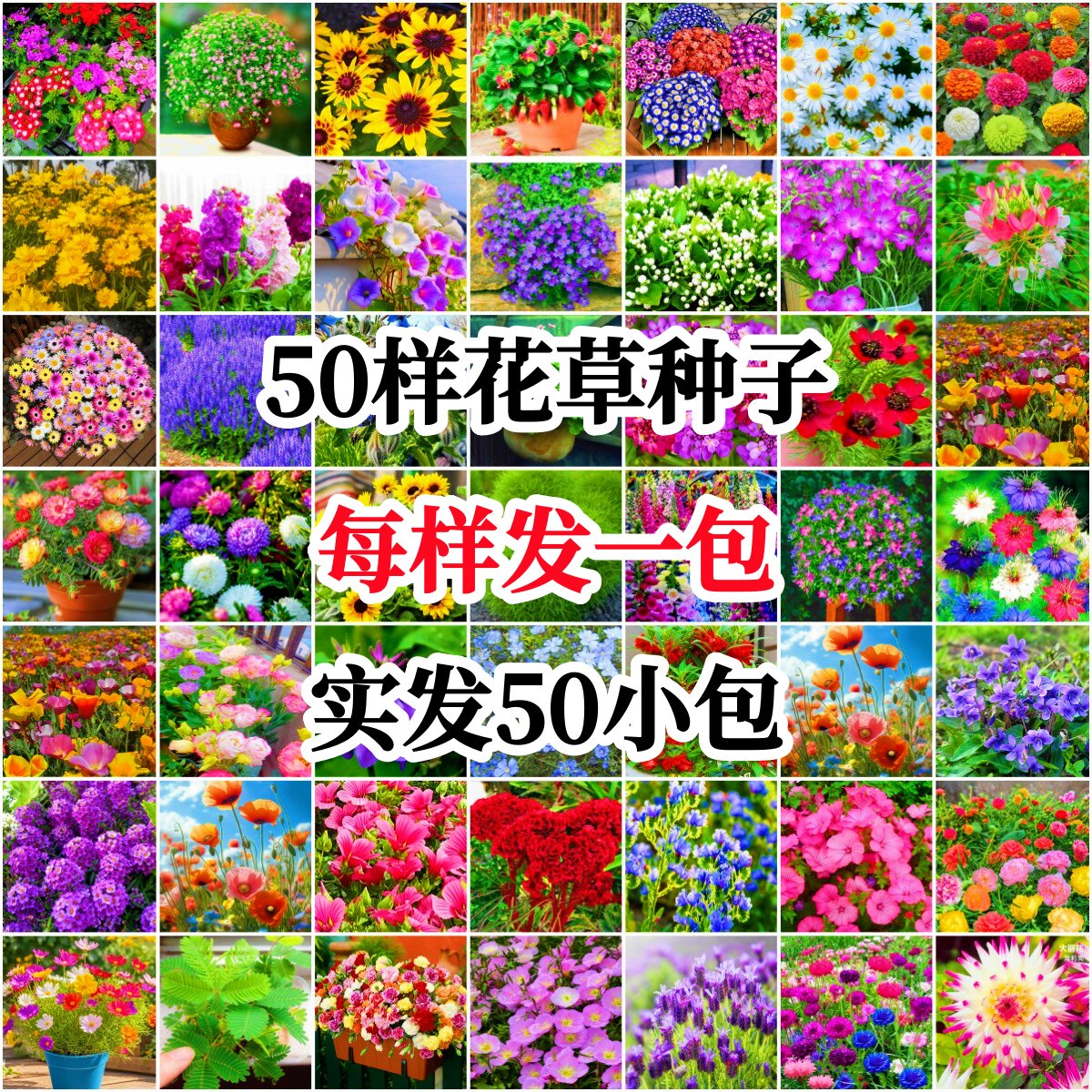 50款花种子组合套餐中小学生幼儿园科学实验小盆栽花卉植物花草籽图片