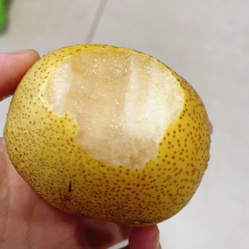 北京平谷新鲜安梨东北烂酸梨细皮薄皮小酸梨老品种怀旧酸梨包邮