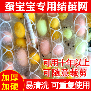 蚕宝宝吐丝结茧网蚕专用结茧网大网片小网片质保10年专用养蚕工具