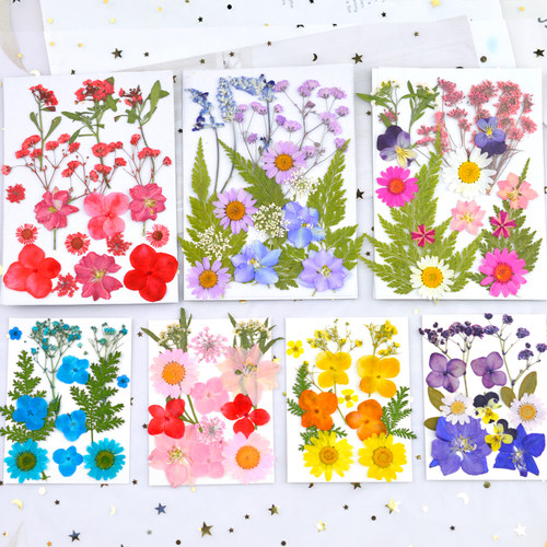花柬干花diy滴胶押花书签材料