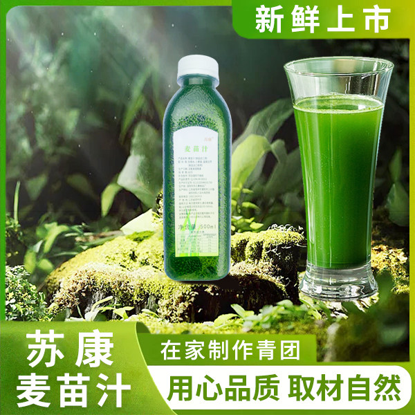 苏康麦苗汁500ml清明节青团原料麦青汁麦草汁青团水小瓶1斤家庭装